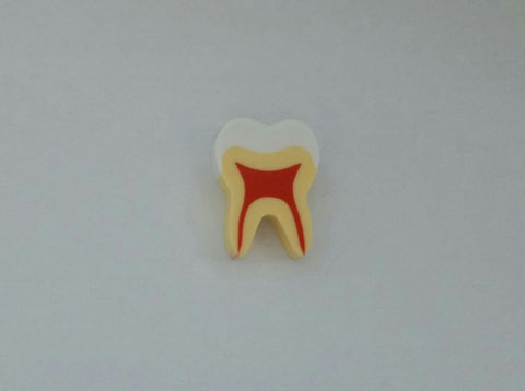 Tooth-shaped Eraser